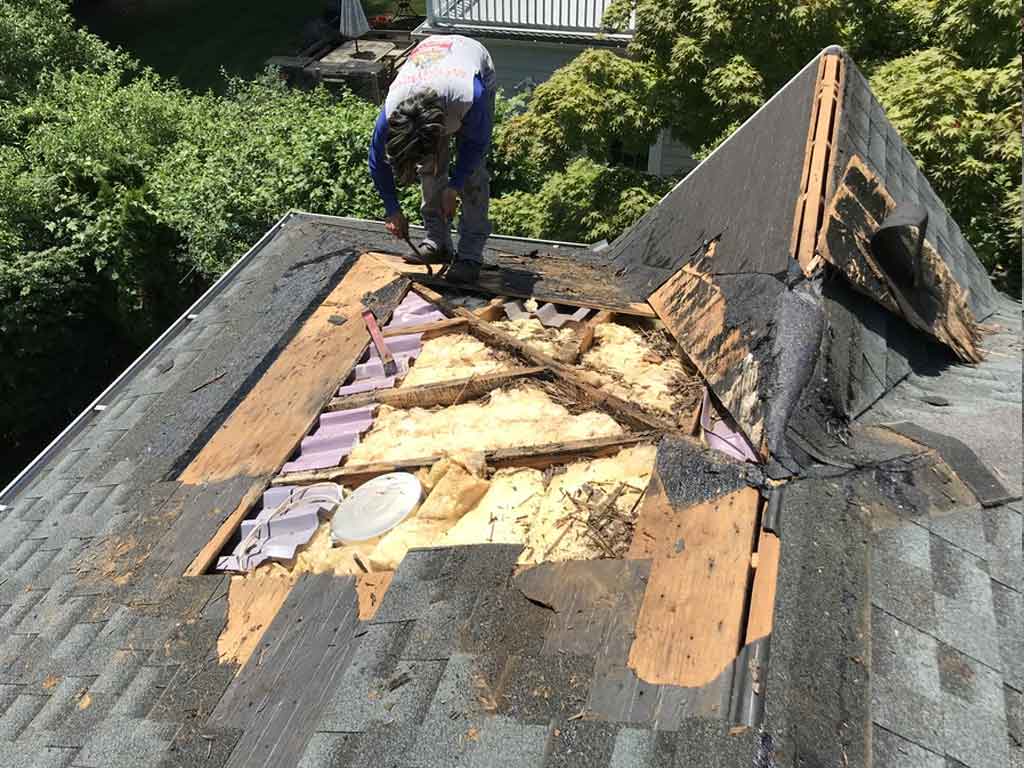 Roofer kneeling over an opened roof deck showing damaged sheathing and insulation