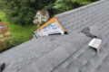 Roof Replacement