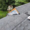 Roof Replacement